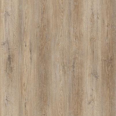Neutral Cortado Oak